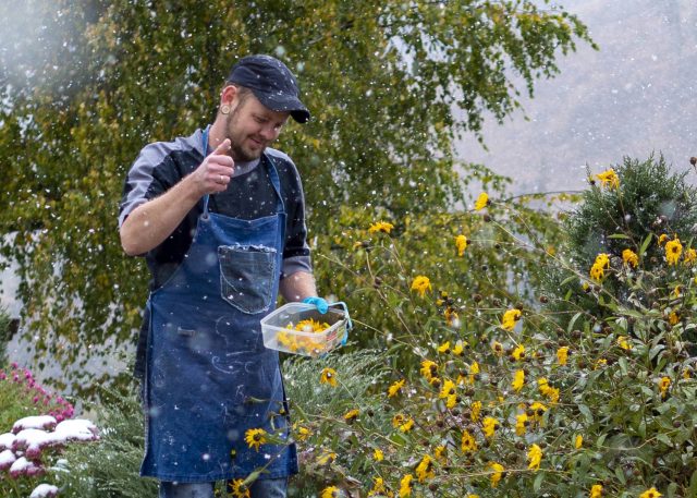 20/10 - From Farm to Fork- Menu for change 2021, Slow Food Tatry (SK)